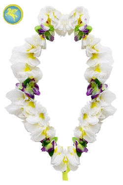 GHIRLANDA HAWAIANA FIORI